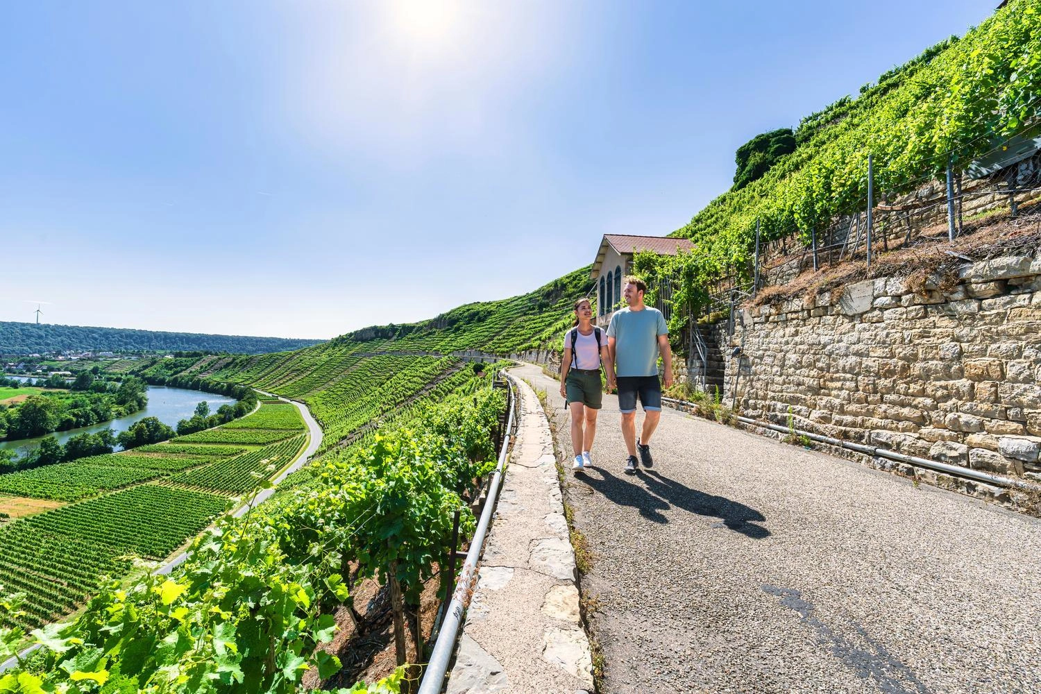 Hikers are walking along a wide footpath through steep vineyard terraces. A river flows in the background.