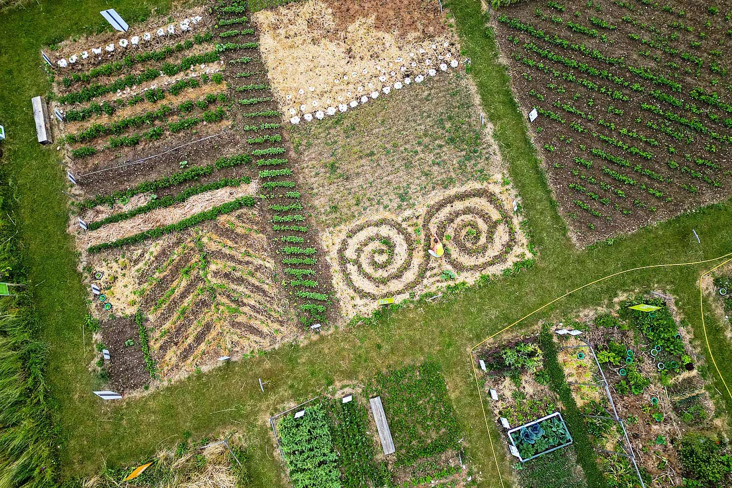 View from above of the Überlinger Weltacker with various fields.
