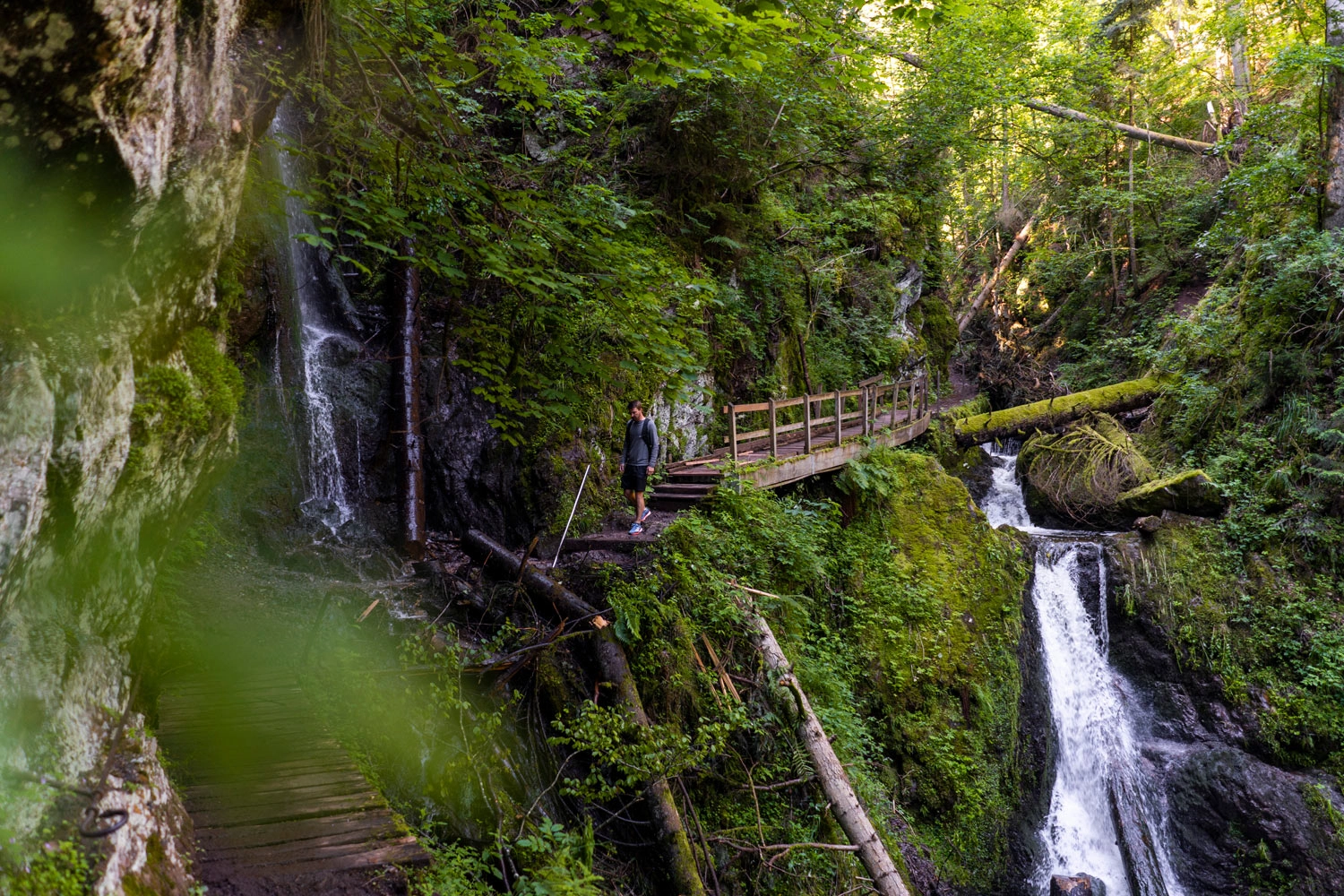A person walks across a wooden footbridge in a ravine covered in greenery.