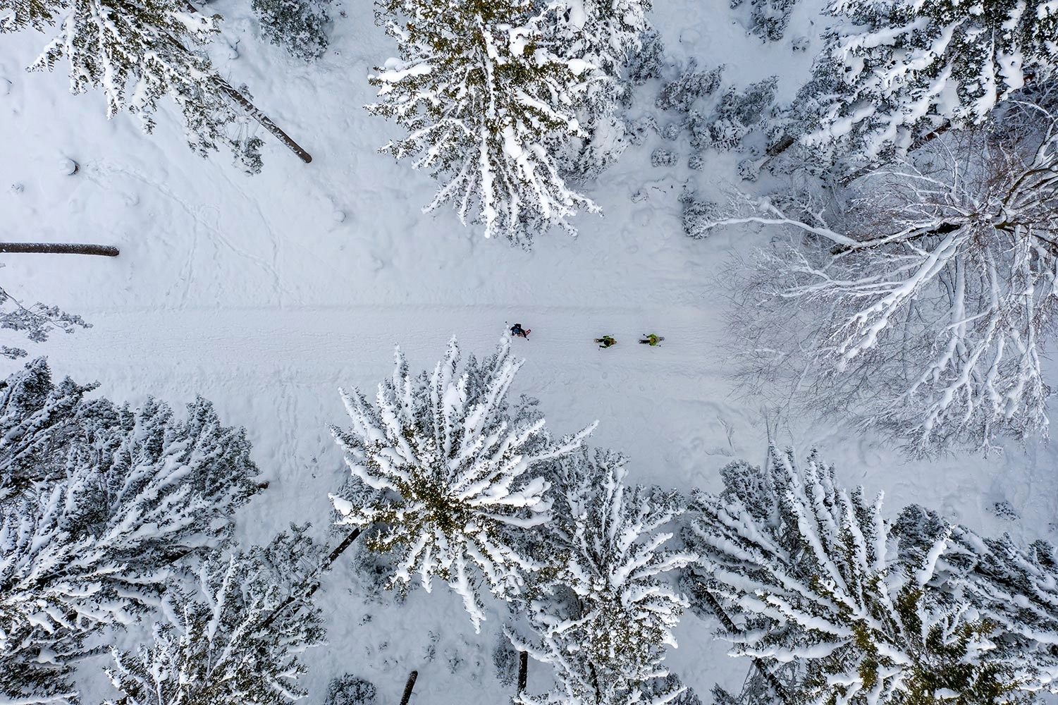 Aerial view of the three snowshoe hikers and the snow-covered fir trees.