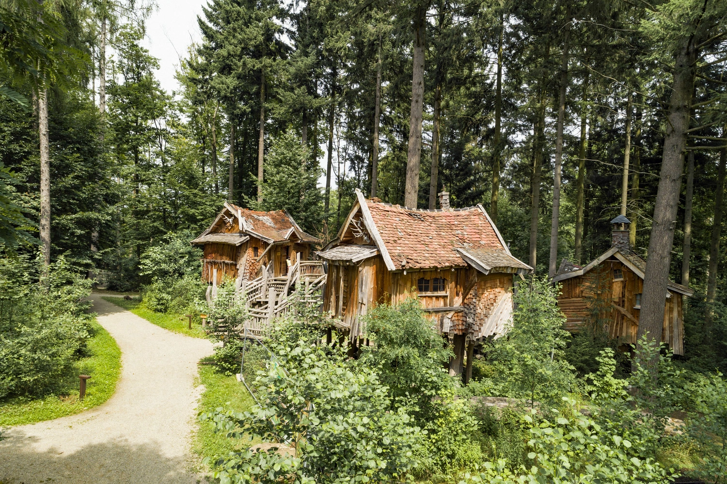 A group of tree houses stands in an idyllic, light-filled forest.