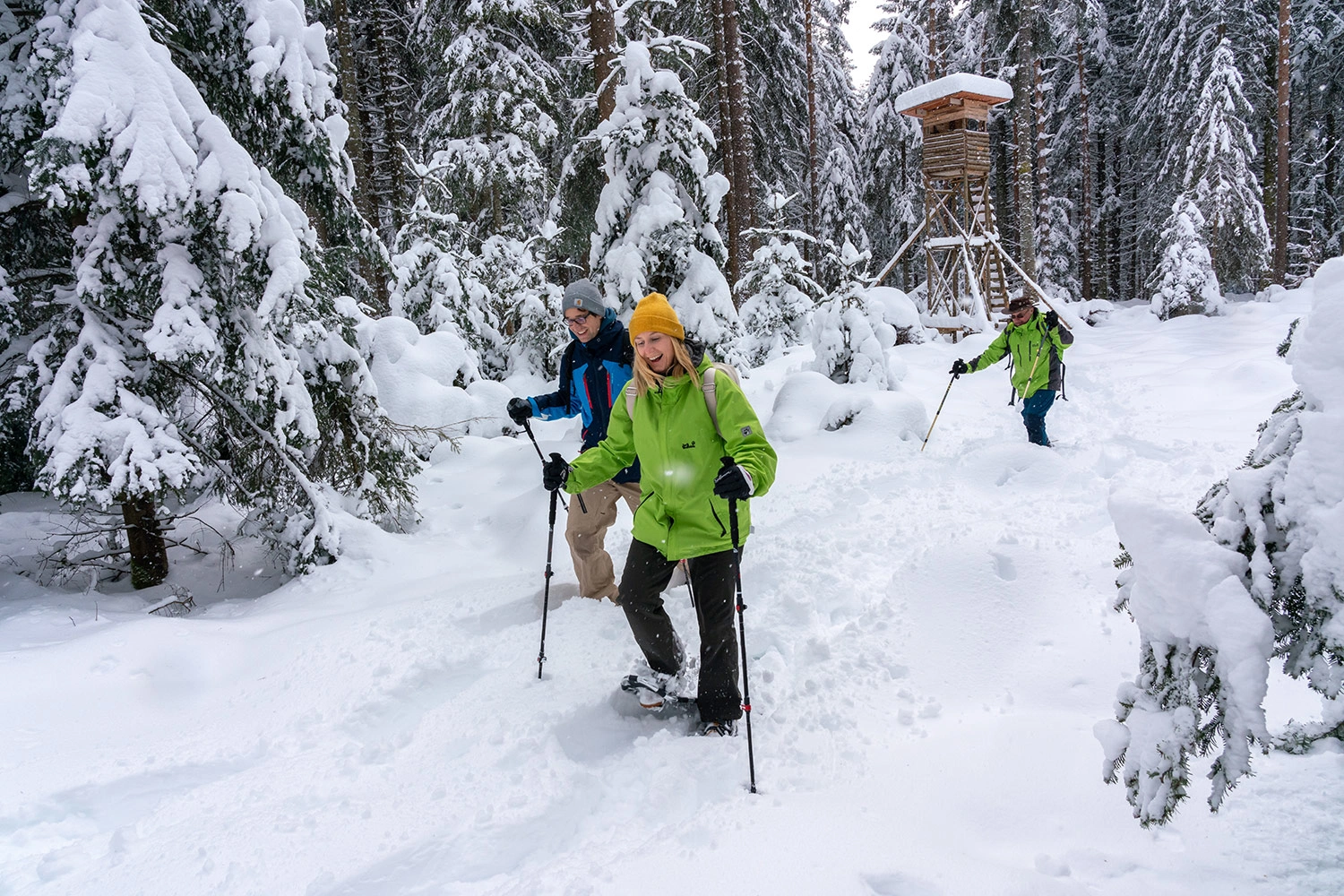 Three people snowshoeing in the snow-covered Black Forest.