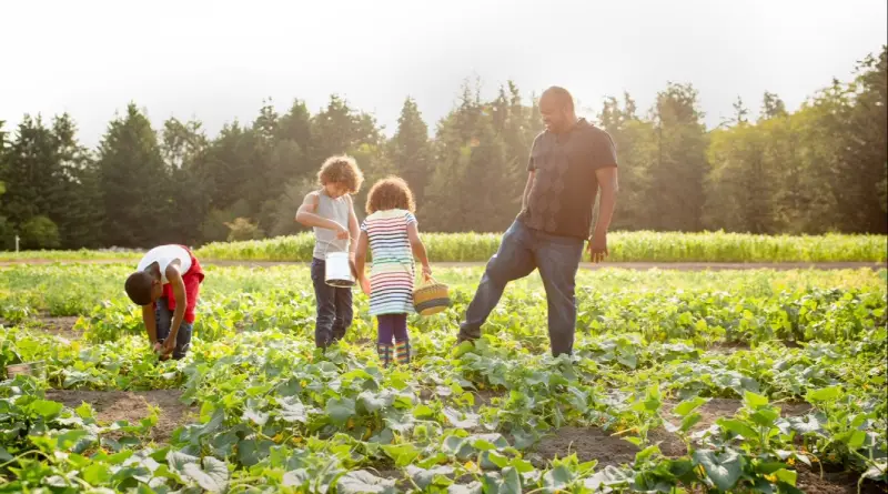 Family practicing sustainable gardening