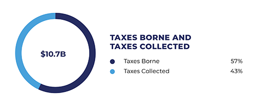 taxes borne and taxes collected