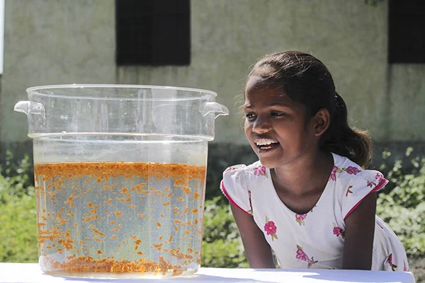 A girl watching P&G water purification process
