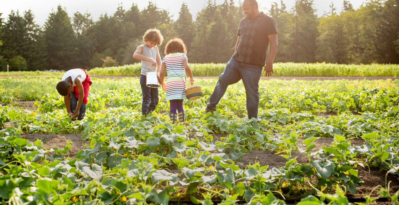 Family practicing sustainable gardening