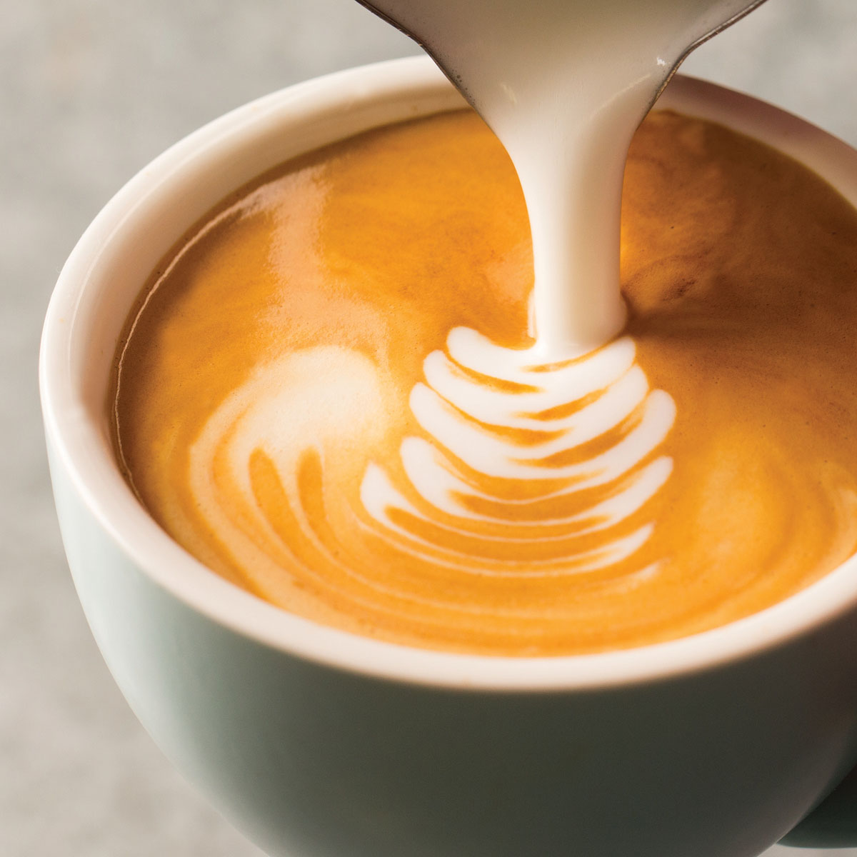 The Coffee Club 25 off total bill at Westfield St Lukes