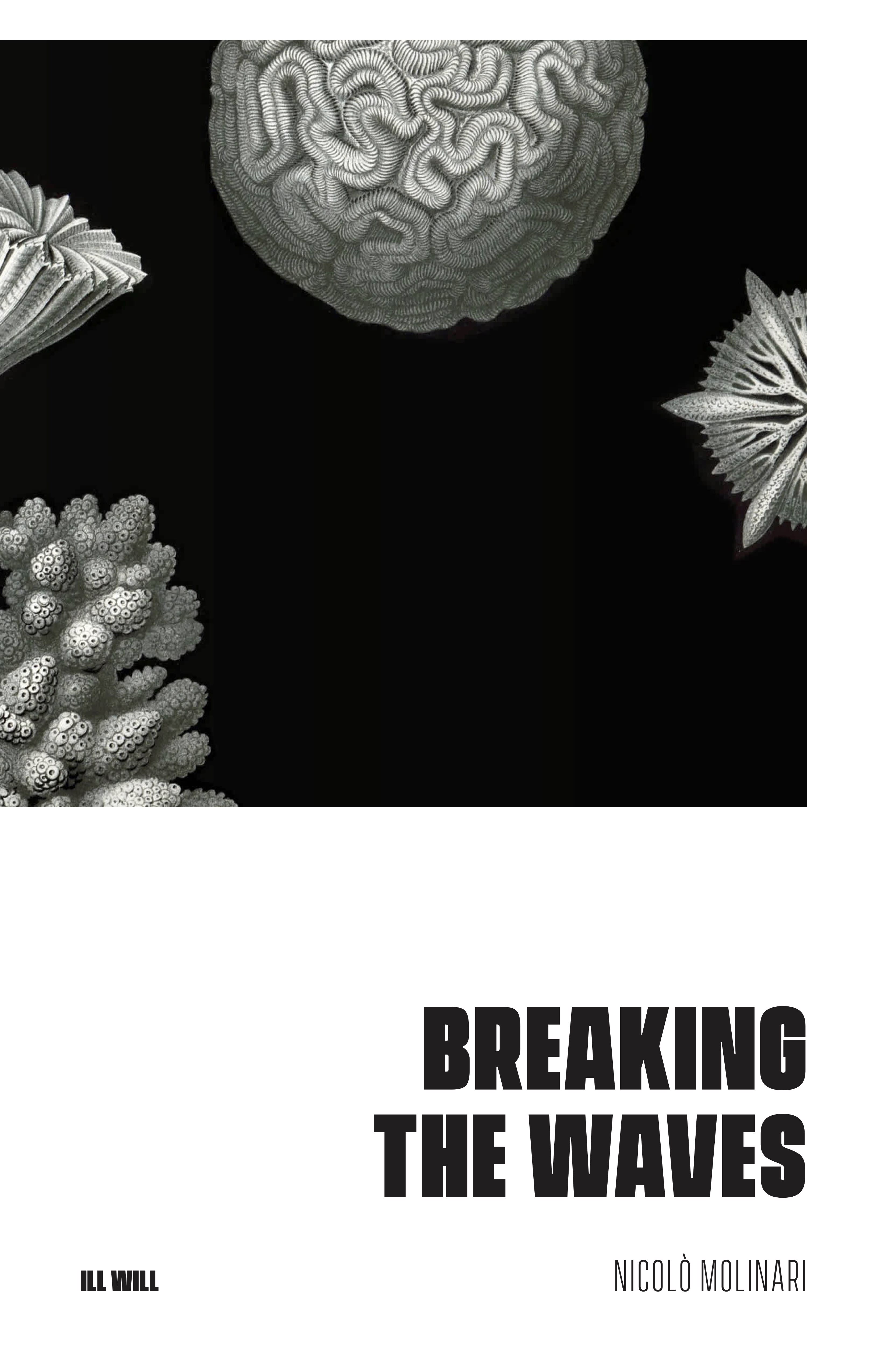 Cover Image for Breaking the Waves