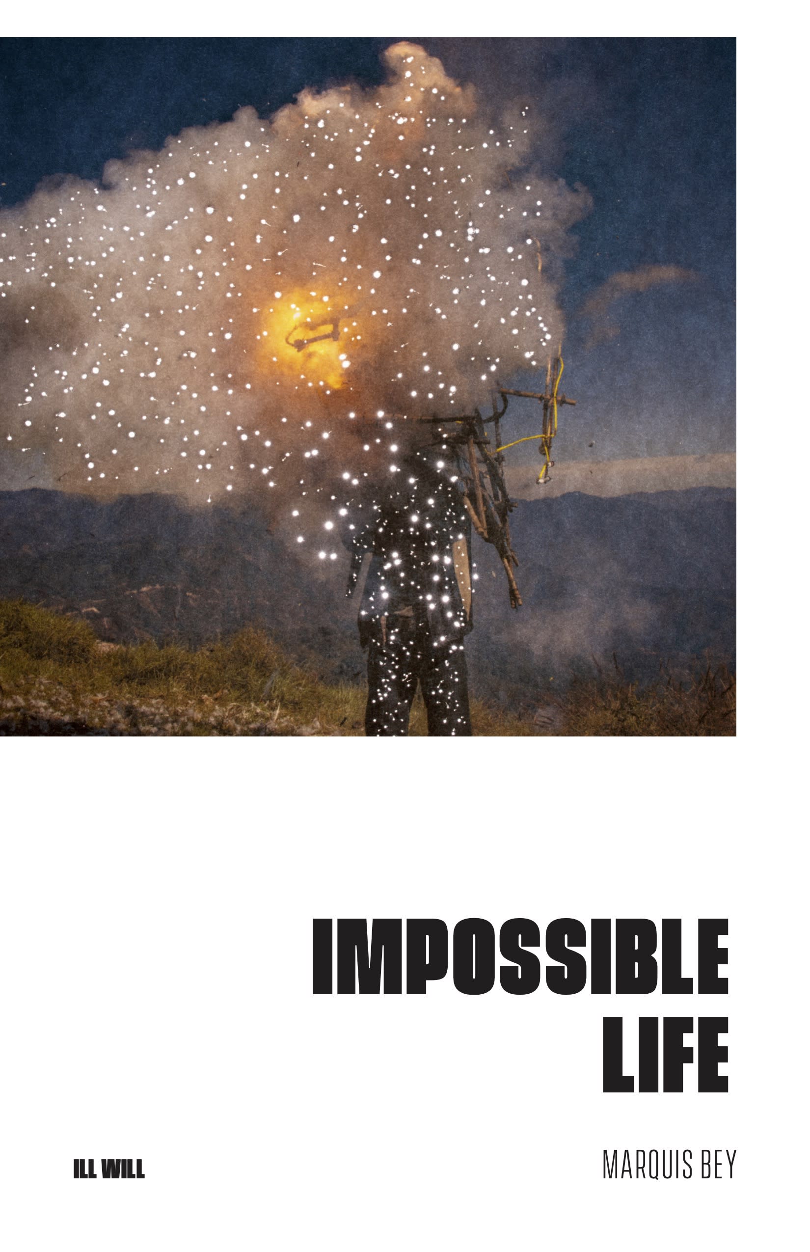 Cover Image for Impossible Life