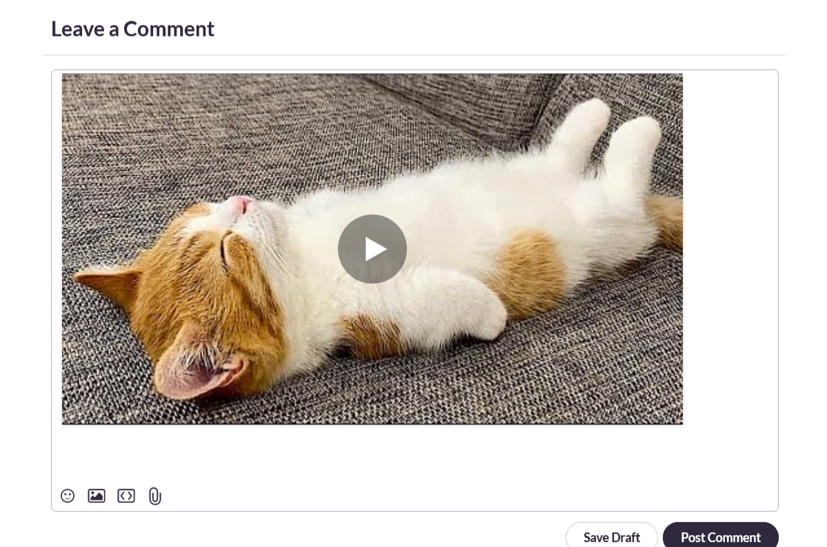 insert media image 3