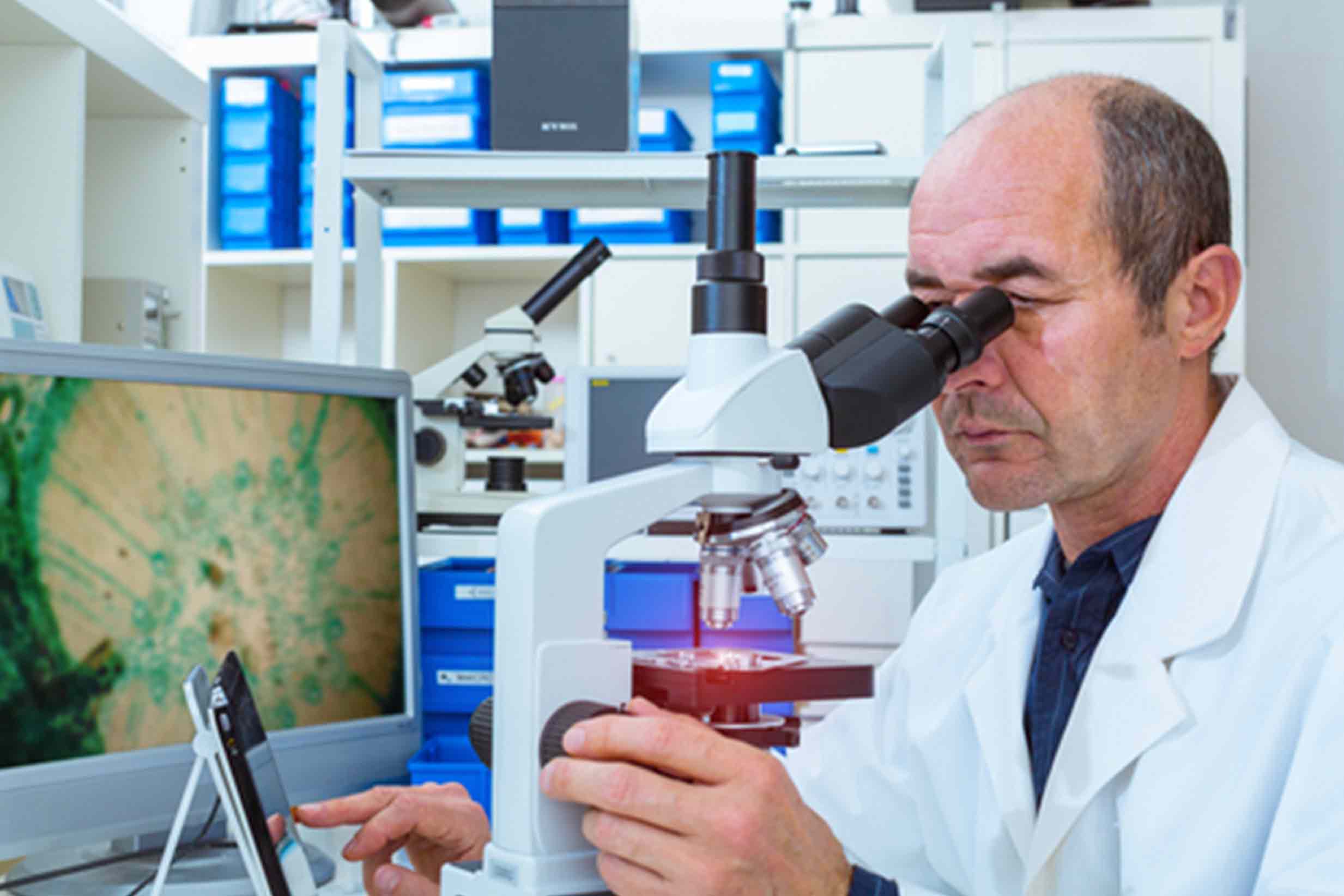 Fall 2024 Research Roundup podcast image
