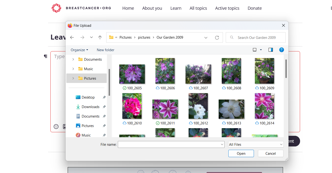 insert image image 2