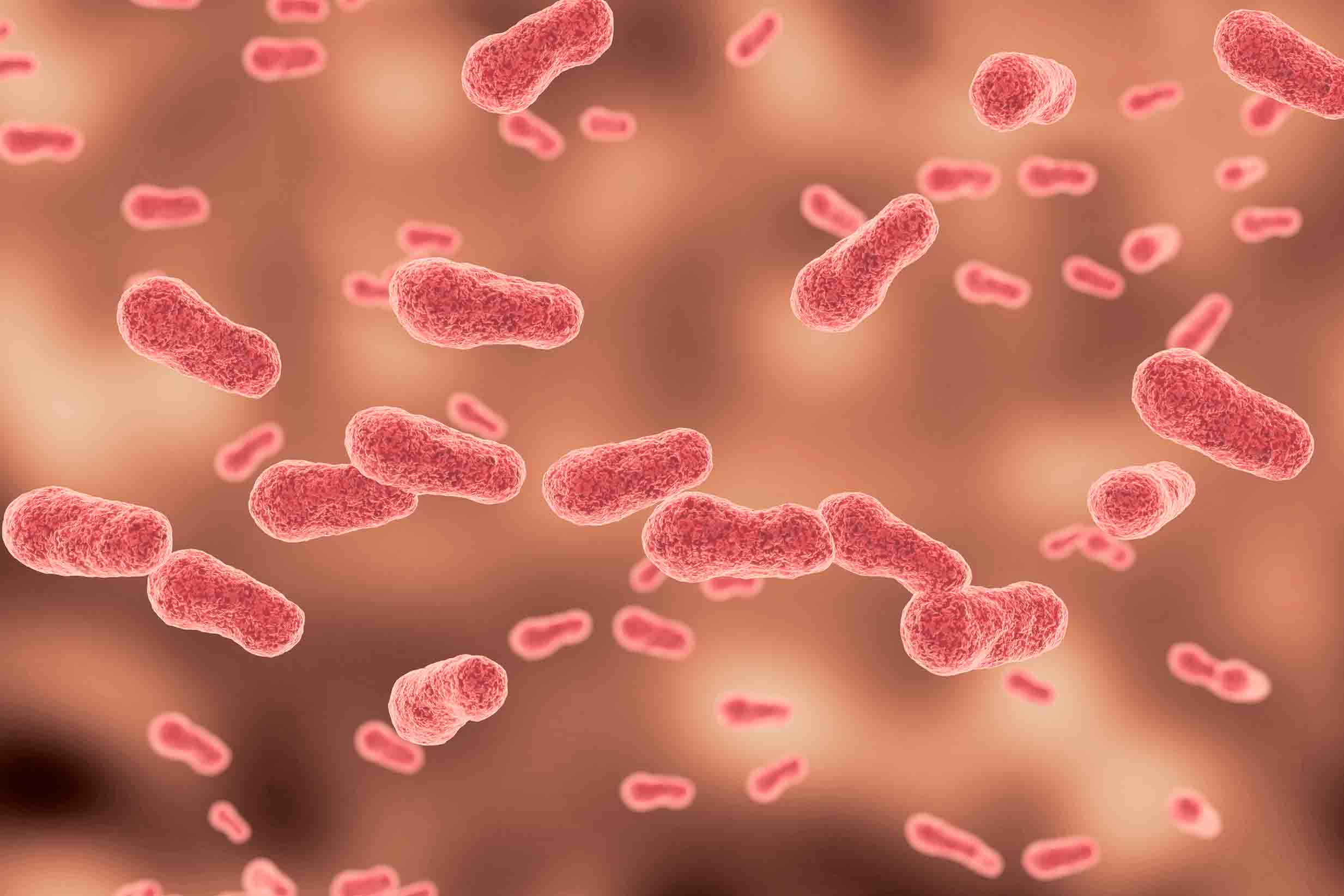 https://images.ctfassets.net/zzorm7zihro2/66jeQz9FJKKgsiYTLOlyrG/6ee744a420e5d9d9e65f7f9d9ced08ad/SharmaBacteriaBCPodcast_2466x1644.jpg