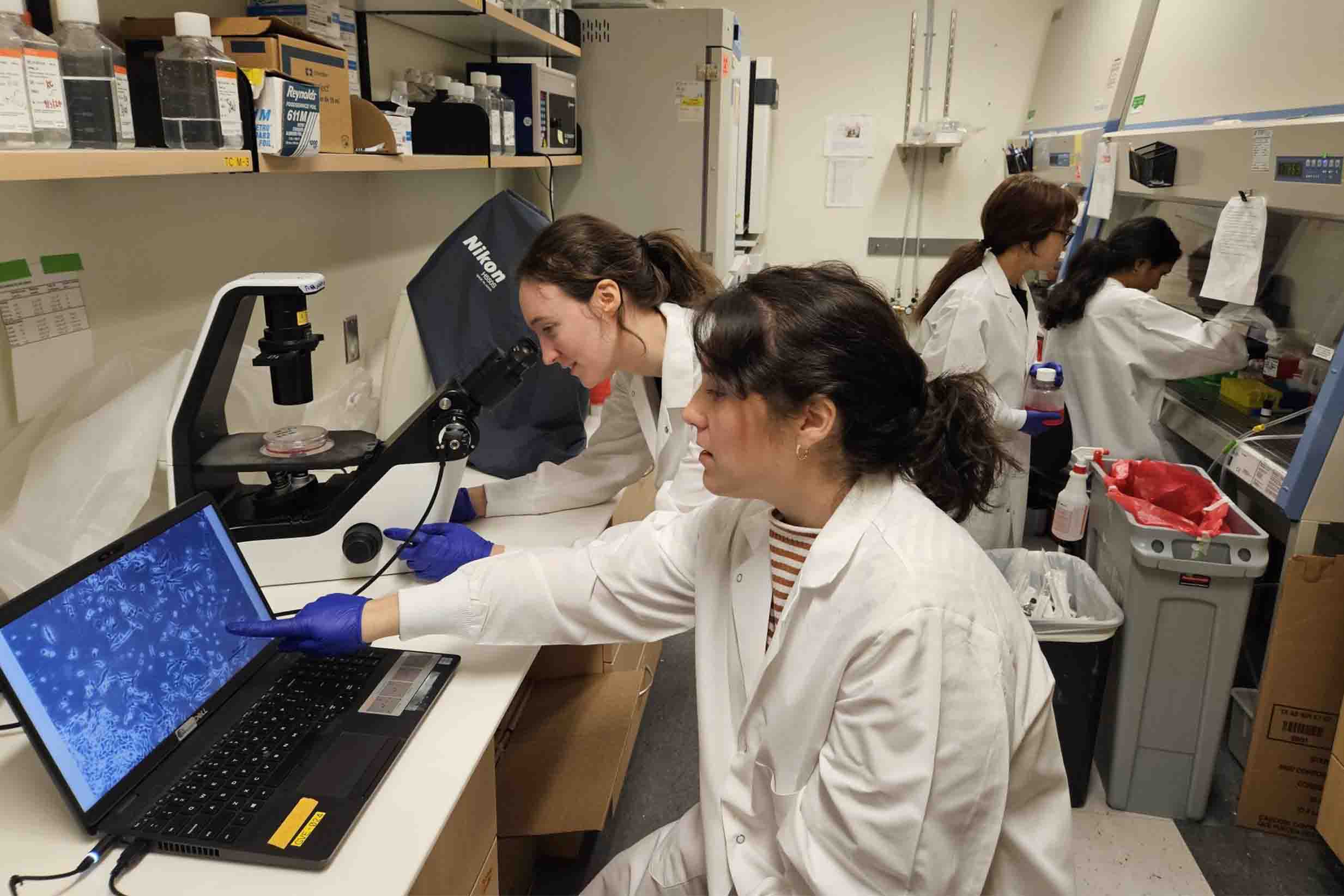 Researchers study triple-negative breast cancer in a lab at Baylor College of Medicine.
