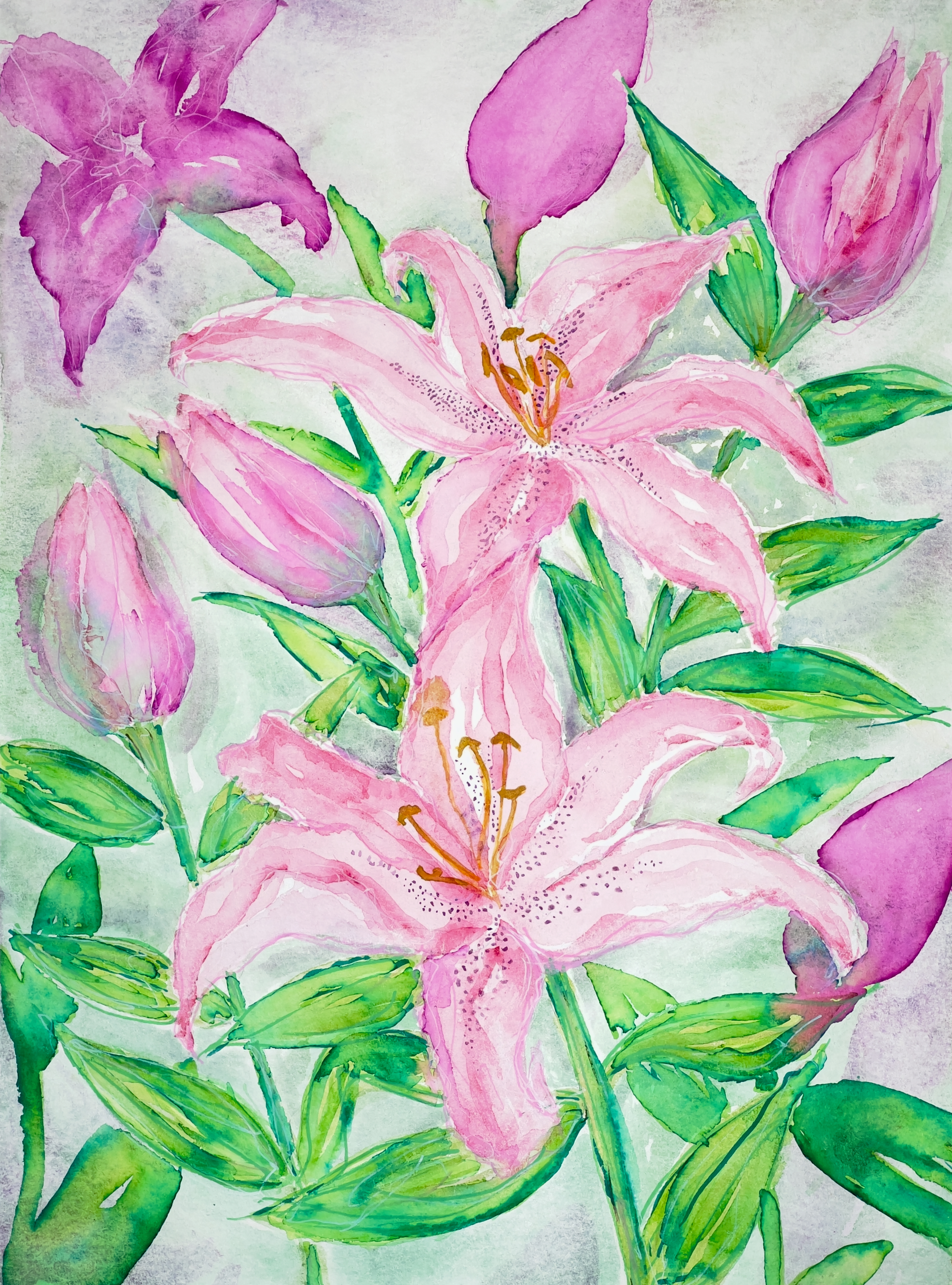 Oriental Lilies